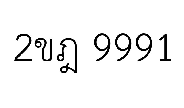2ขฎ 9991